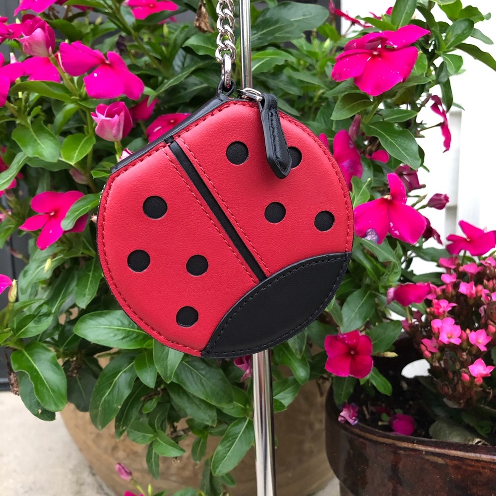 Ladybug Pouch Charm